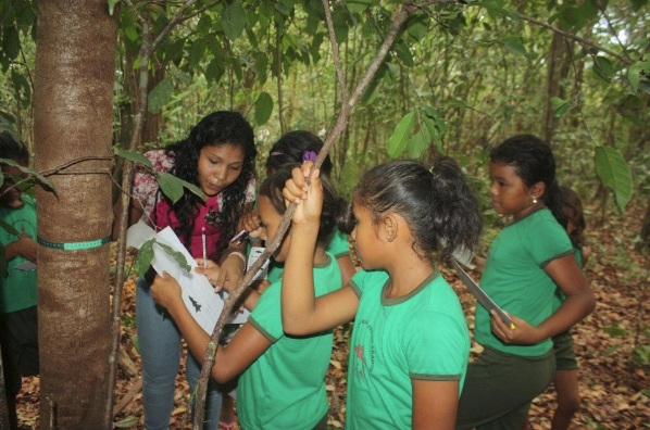 Instituicao Caruanas do Marajo Cultura e Ecologia - All You Need to Know  BEFORE You Go (with Photos)